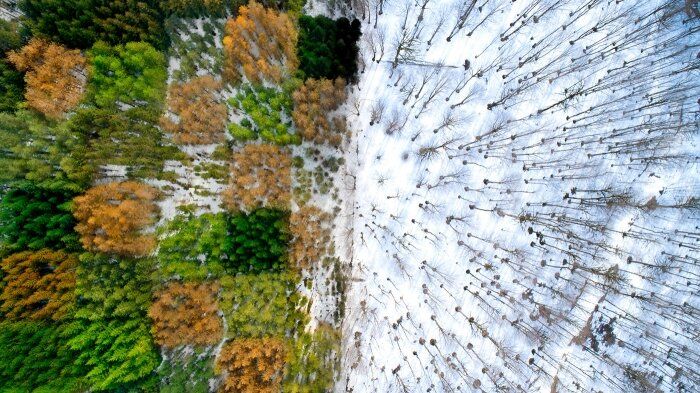 “White and Colorful” by Mohammadreza Masumi wins gold medal at Issyk-Kul exhibit